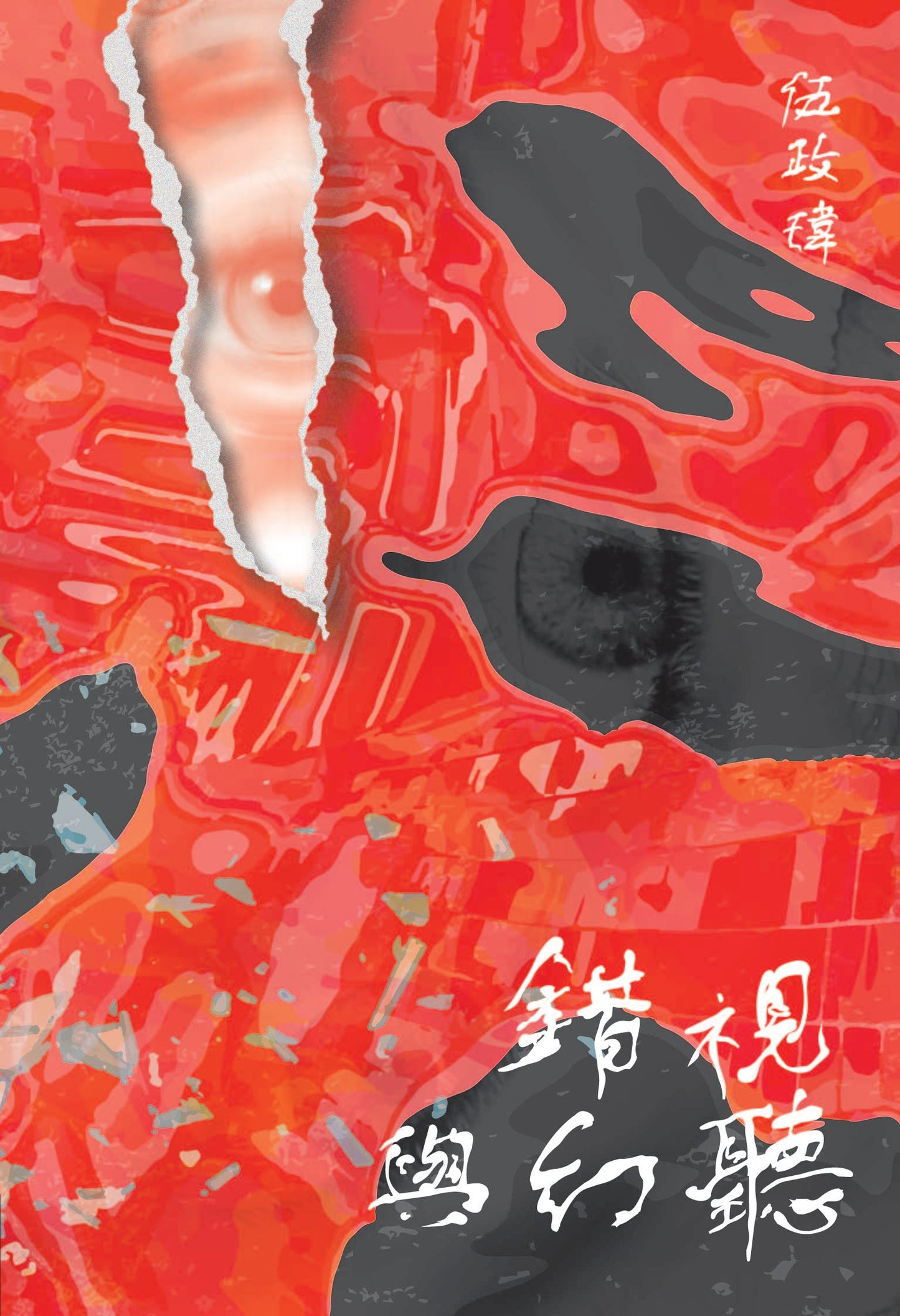 book cover, wu zheng wei, Hallucination